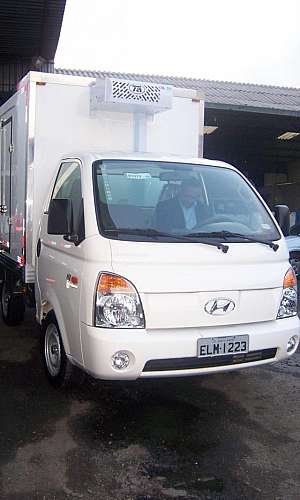 Baú para congelados Baú para congelados