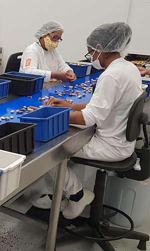 transportador de esteira transportador de esteira